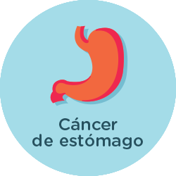 Estomago